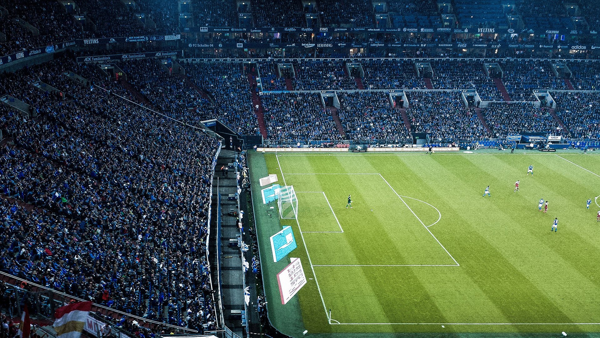 内线巨兽统治禁区！辽宁戈贝尔疯狂取分打崩广东，攻防一体诠释冠军底蕴